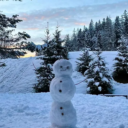 شقة W2 Haus Ganghofer *