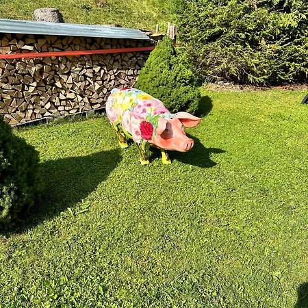 W2 Haus Ganghofer شقة *