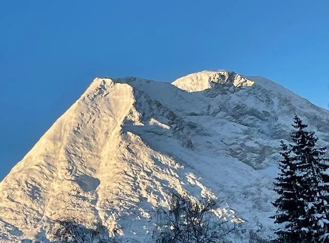 公寓 W2 Haus Ganghofer