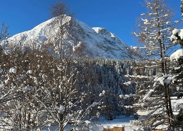 公寓 W2 Haus Ganghofer *