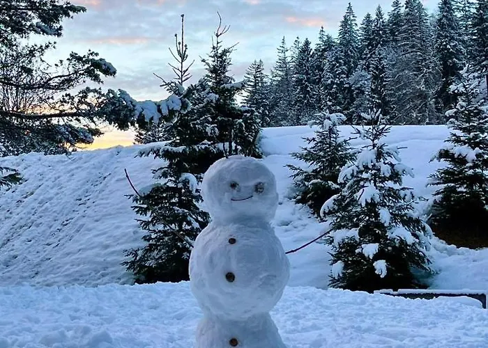 Lejlighed W2 Haus Ganghofer *