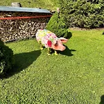 W2 Haus Ganghofer Apartman *